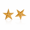 GE0203 - Star Studs