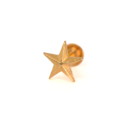 GE0203 - Star Studs
